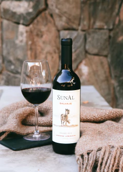 SUNAL Salvaje Luracatao Malbec 2021 (6 x 750ml) - Agustin Lanus Wines