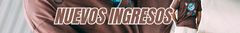 Banner de la categoría NUEVOS INGRESOS