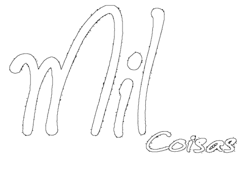 Mil Coisas Moda Fitness