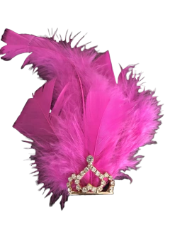 Thiara Prince - loja online