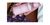 Imagem do banner rotativo Gabriela Karina Maresch