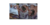 Imagem do banner rotativo Gabriela Karina Maresch