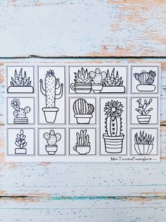 MINITOCETO CACTUS 2