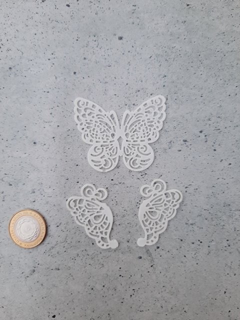 Puntilla Mariposas