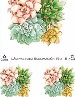 SUCULENTAS SU093 - SUBLIMACION A4