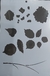 Stencils 20 x 30