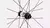 RUEDAS Alpinist CL II CARBONO - comprar online