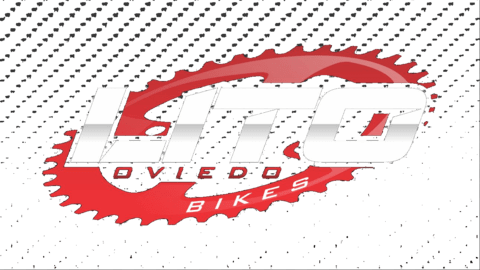 litoviedo bikes