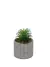 Planta Artificial