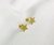 Abridor Estrella acero dorado