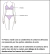 Colaless Estampada Eyes - Muakis Lingerie