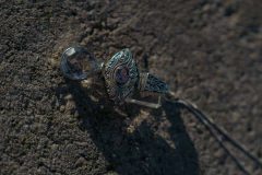 Dije Quéen Victoria. - comprar online