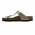 BK GIZEH GOLD 1016108 - comprar online