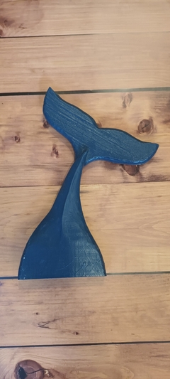 Cola de ballena - LA MATERA CARILO