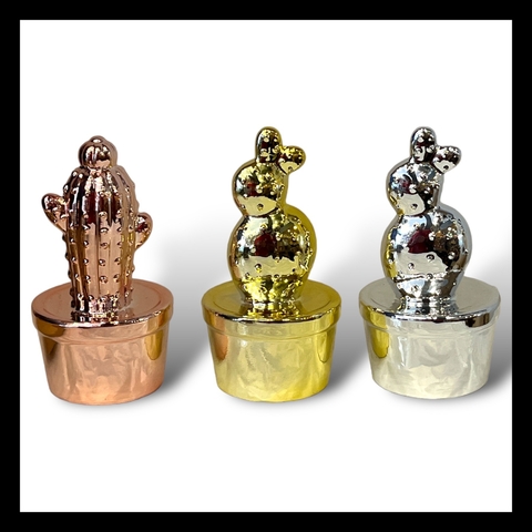 Cactus decorativos (20-09)