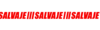 Banner Salvaje World