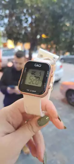 Reloj Q&Q Rosa j en internet