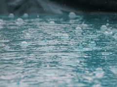 Banner de la categoría Botas de lluvia Niños