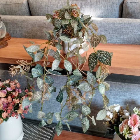 PLANTA COLGANTE 45cm - comprar online