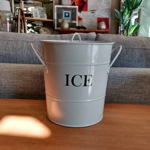 HIELERA METAL CON CUCHARA - comprar online