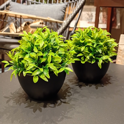 ARBUSTO EN MACETA 12CM - comprar online