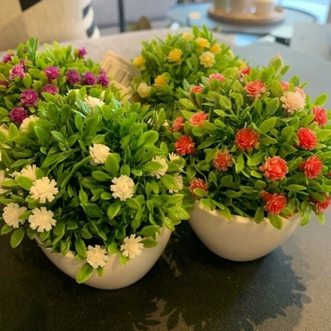 Rosita mini 8x8cm. Consultar colores disponibles