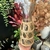 BOTELLA VIDRIO CON FIBRA 1000ML - comprar online