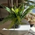 PLANTA HELECHO 30CM