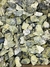 Jaspe cocodrilo en bruto x 200 gr - tienda online