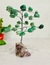 Árbol de jade verde con base piedra