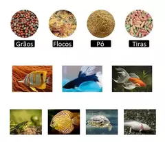 Alimentador Automático de Peixes Digital – 4 Programações Diárias p/ Aquário - COMERCIAL 21 IMP EXP 