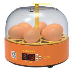 Mini Incubadora Chocadeira para 6 Ovos – Galinha, Codorna, Pássaros, Automatica - comprar online