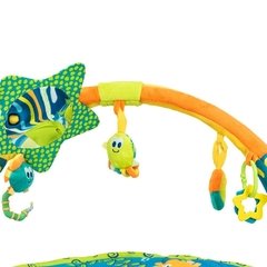 Gimnasio Para Bebe Didáctico Con Luz Y Sonido - Bebitos. en internet