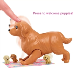 Muñeca Barbie Con Cachorros Recién Nacidos - Mattel. - tienda online