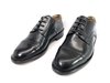 Zapato acordonado de cuero Rinaldi (1102Q)