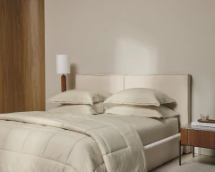 Jogo de Cama Novoli Crema - Trussardi