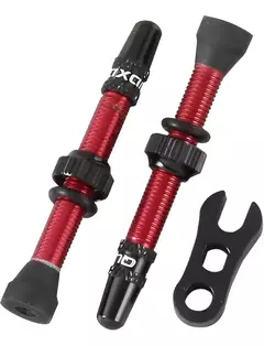Juego de Válvulas tubeless quaxar 45mm en internet