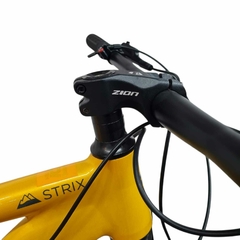 Bicicleta Mtb Rod. 29 Zion Strix Gt - tienda online