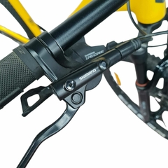 Bicicleta Mtb Rod. 29 Zion Strix Gt