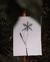 Orquídea Corações