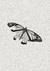 Borboleta - comprar online