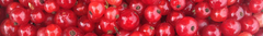 Banner de la categoría Sabores Puros