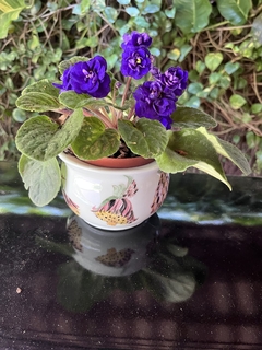Cachepot design italiano