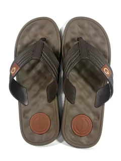 Cartago EGEU AD (5361624) Marrón - comprar online