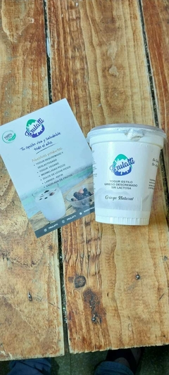 Yogurt Tipo Griego Descremado y sin lactosa en internet