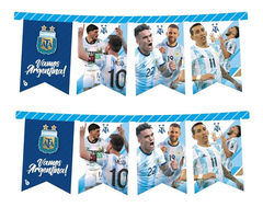 Banderín selección argentina x1