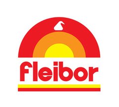 Esencia fleibor vainilla 110cc - comprar online