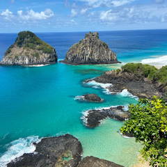 Imagem do Pulseira búzios | Coleção verão Noronha