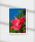 Quadro Decorativo Hibisco - Oniguiri Art