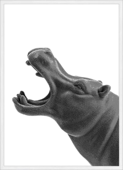 RINO (0547) en internet